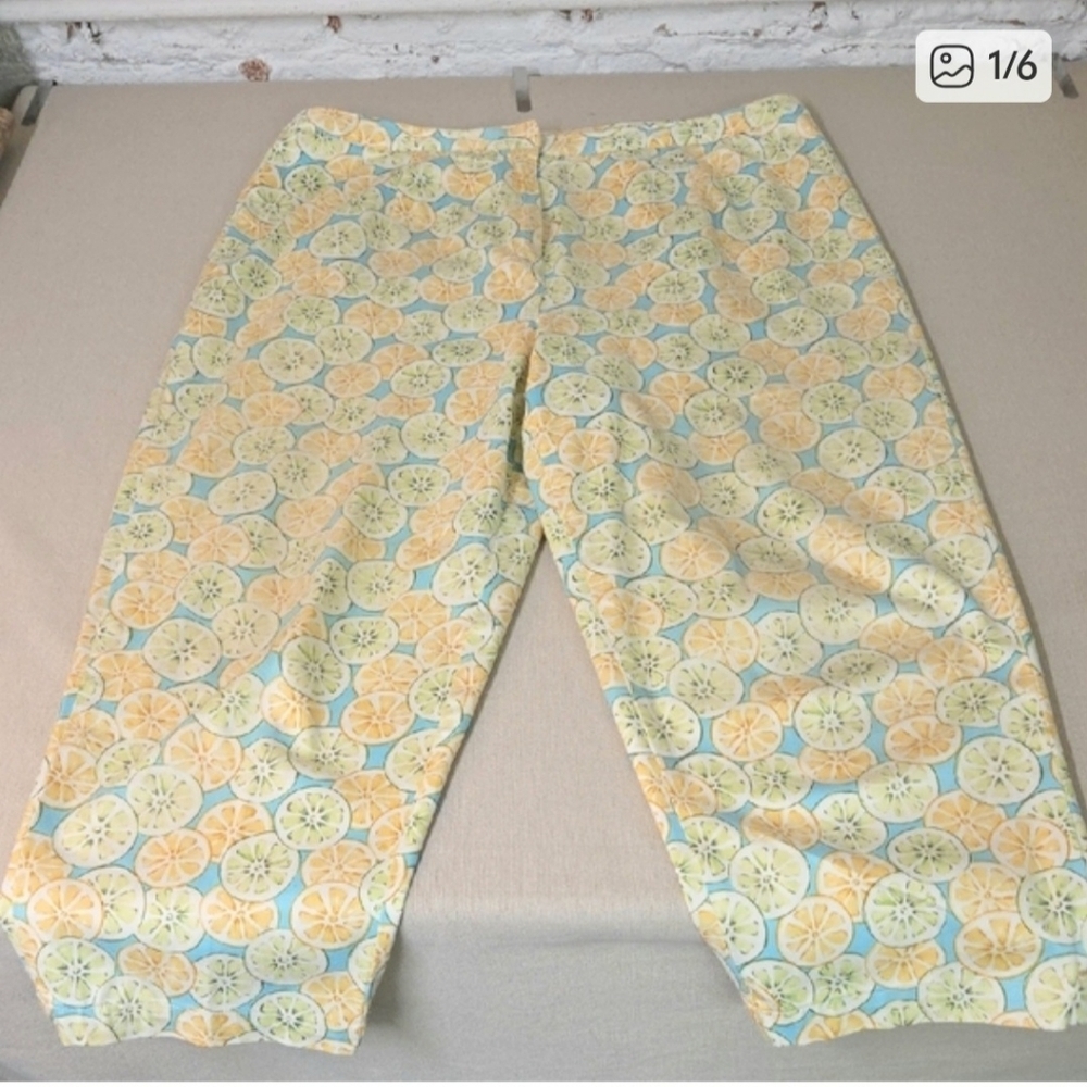 Talbots 2000s Summer Pattern Pants Sz 14